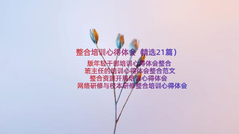 整合培训心得体会（精选21篇）