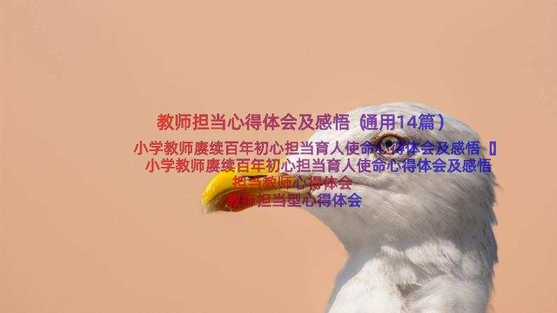 教师担当心得体会及感悟（通用14篇）