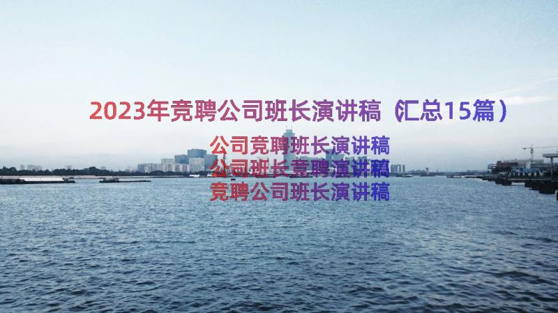 2023年竞聘公司班长演讲稿（汇总15篇）