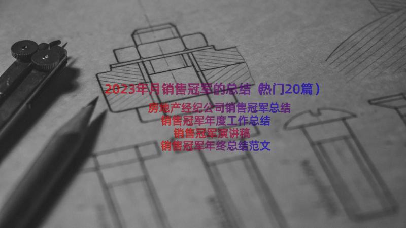 2023年月销售冠军的总结（热门20篇）