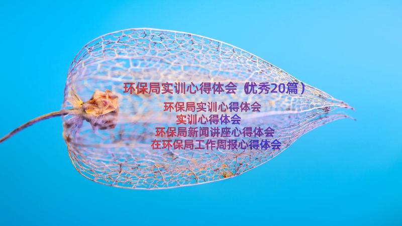 环保局实训心得体会（优秀20篇）