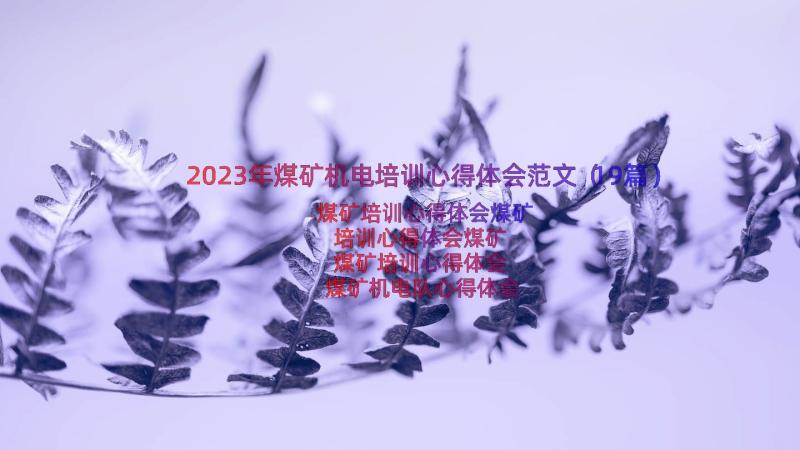 2023年煤矿机电培训心得体会范文（19篇）