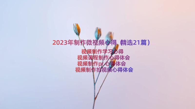 2023年制作微视频心得（精选21篇）