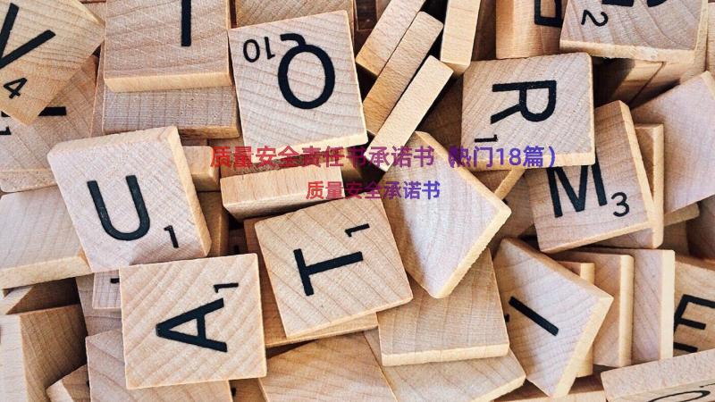 质量安全责任书承诺书（热门18篇）