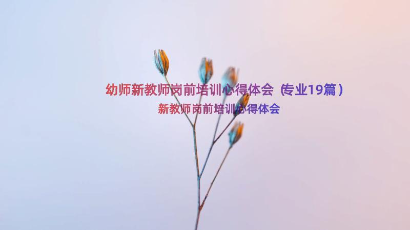 幼师新教师岗前培训心得体会（专业19篇）