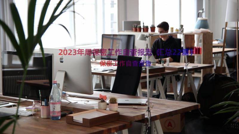 2023年局保密工作自查报告（汇总22篇）