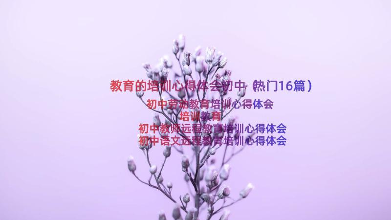 教育的培训心得体会初中（热门16篇）