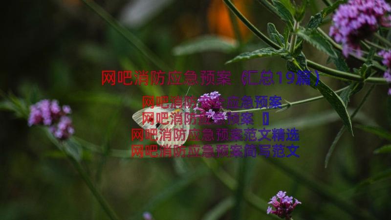 网吧消防应急预案（汇总19篇）