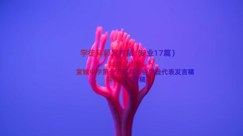 学徒拜师发言稿（专业17篇）