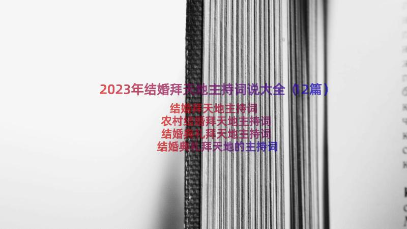 2023年结婚拜天地主持词说大全（12篇）