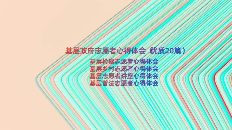 基层政府志愿者心得体会（优质20篇）