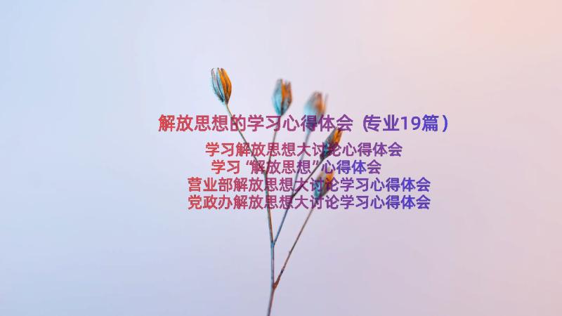 解放思想的学习心得体会（专业19篇）