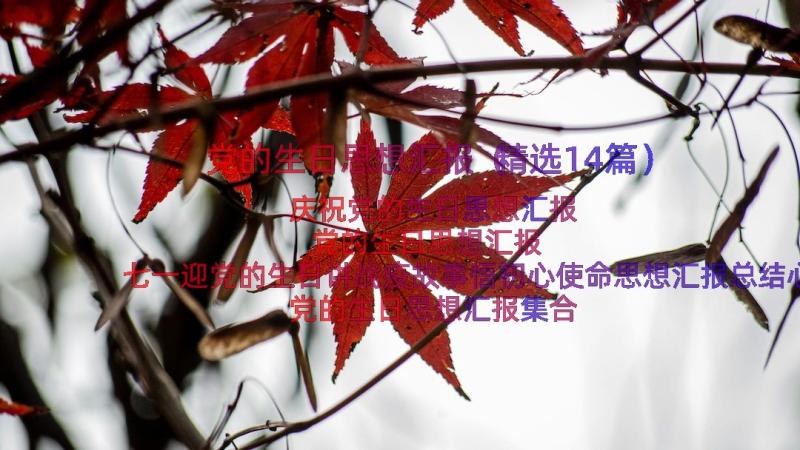 党的生日思想汇报（精选14篇）