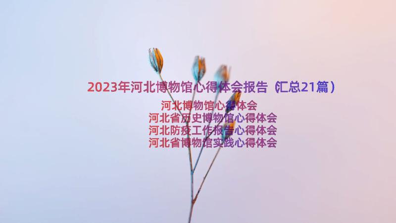 2023年河北博物馆心得体会报告（汇总21篇）