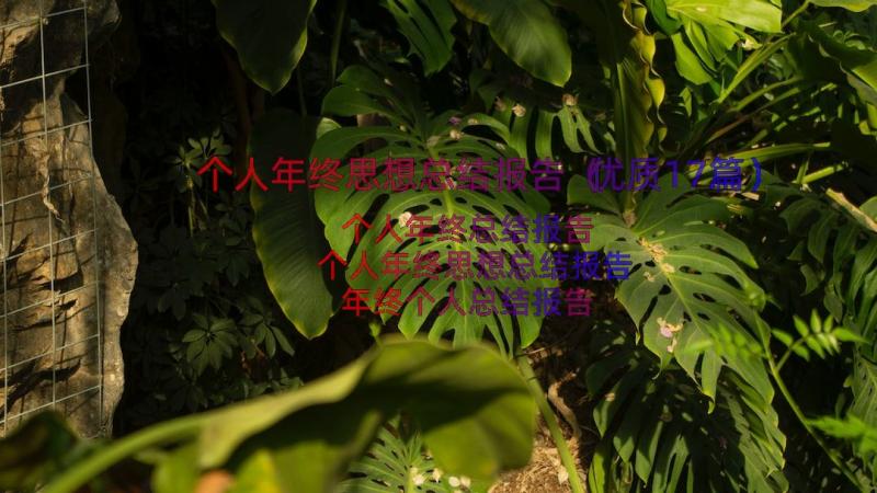 个人年终思想总结报告（优质17篇）