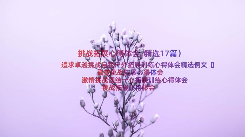 挑战拓展心得体会（精选17篇）