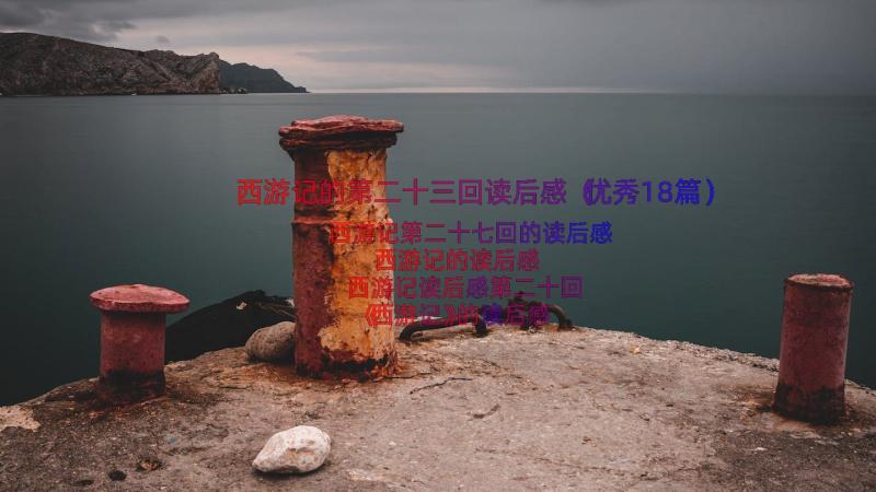 西游记的第二十三回读后感（优秀18篇）