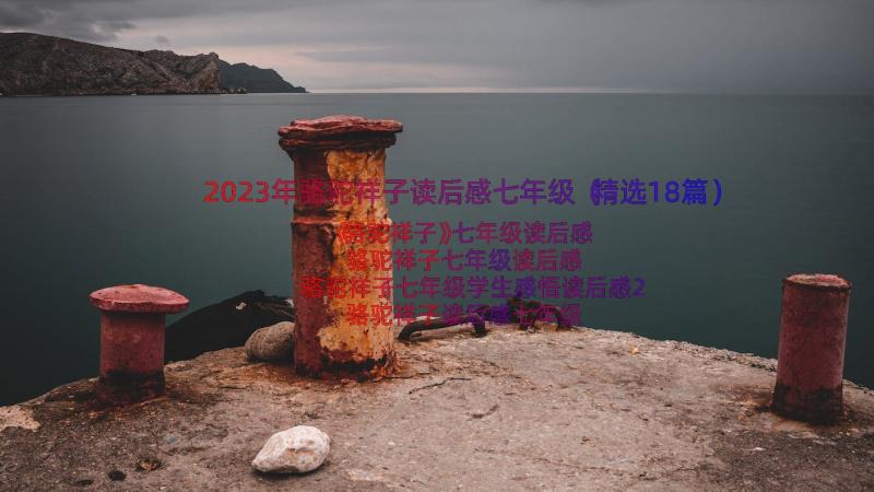 2023年骆驼祥子读后感七年级（精选18篇）