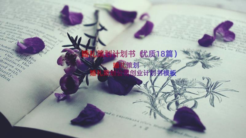 婚礼策划计划书（优质18篇）