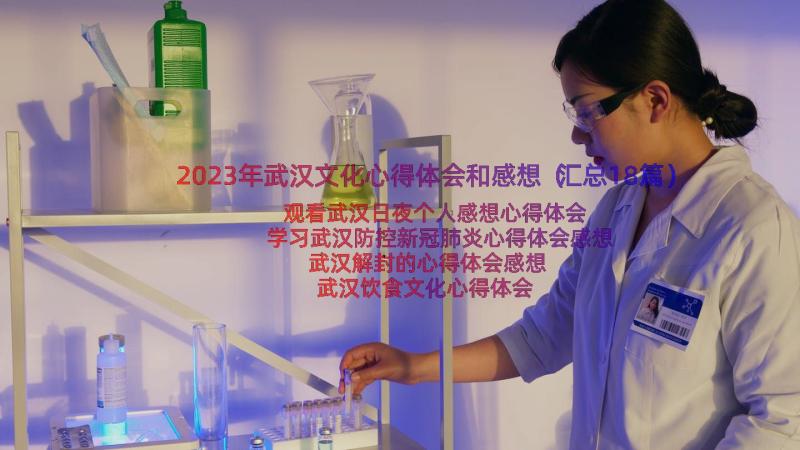 2023年武汉文化心得体会和感想（汇总18篇）