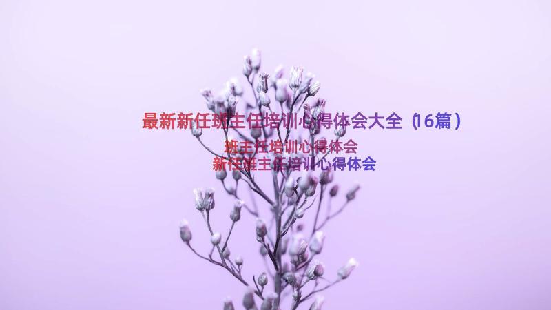 最新新任班主任培训心得体会大全（16篇）