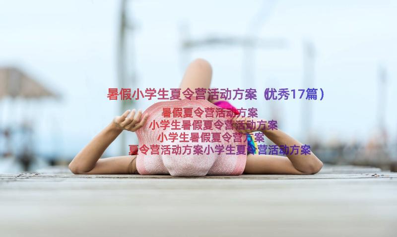 暑假小学生夏令营活动方案（优秀17篇）