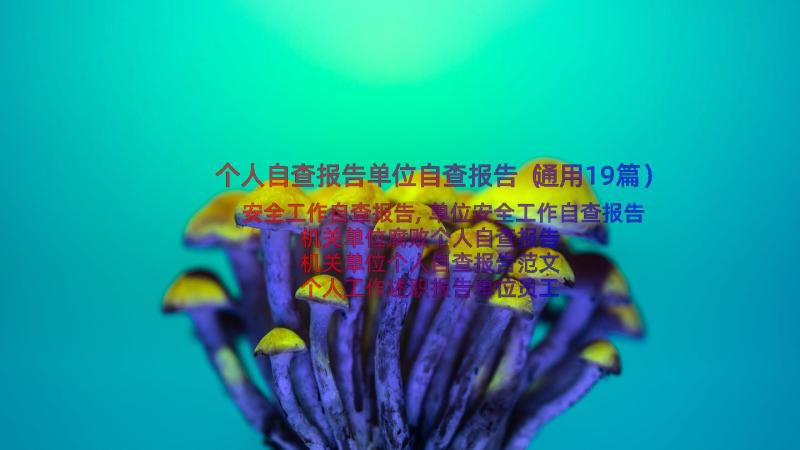 个人自查报告单位自查报告（通用19篇）