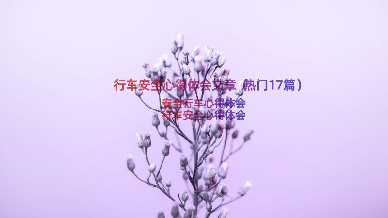 行车安全心得体会文章（热门17篇）