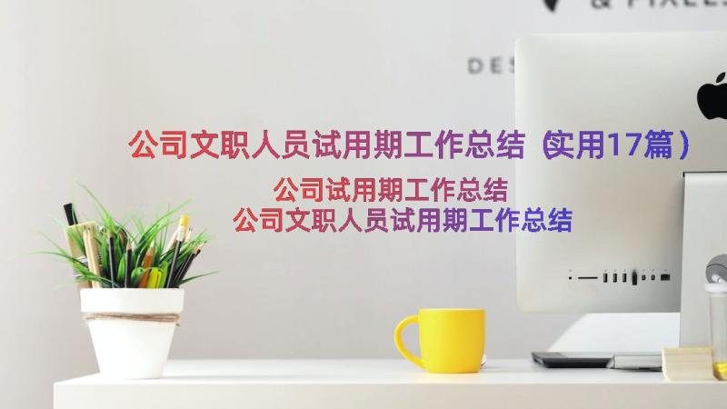 公司文职人员试用期工作总结（实用17篇）