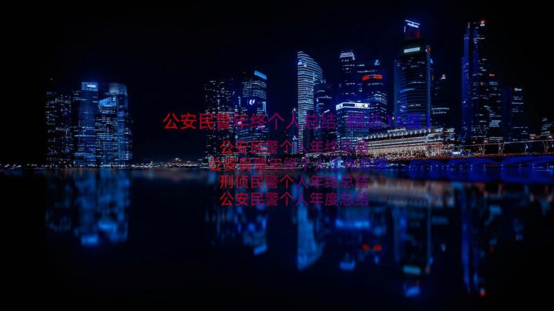 公安民警年终个人总结（精选15篇）