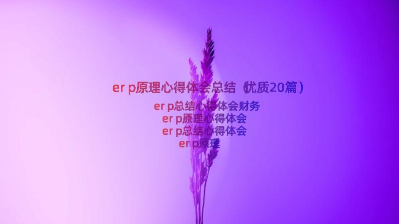 erp原理心得体会总结（优质20篇）