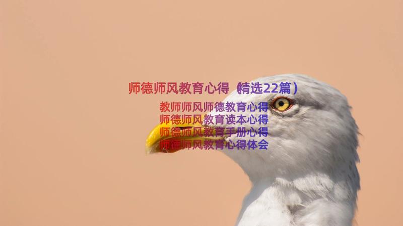 师德师风教育心得（精选22篇）