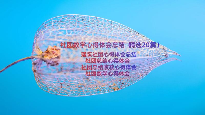 社团数学心得体会总结（精选20篇）