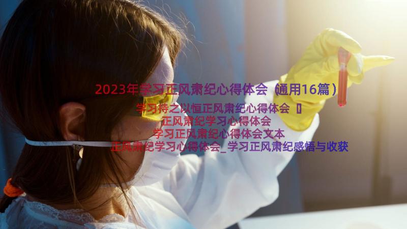 2023年学习正风肃纪心得体会（通用16篇）