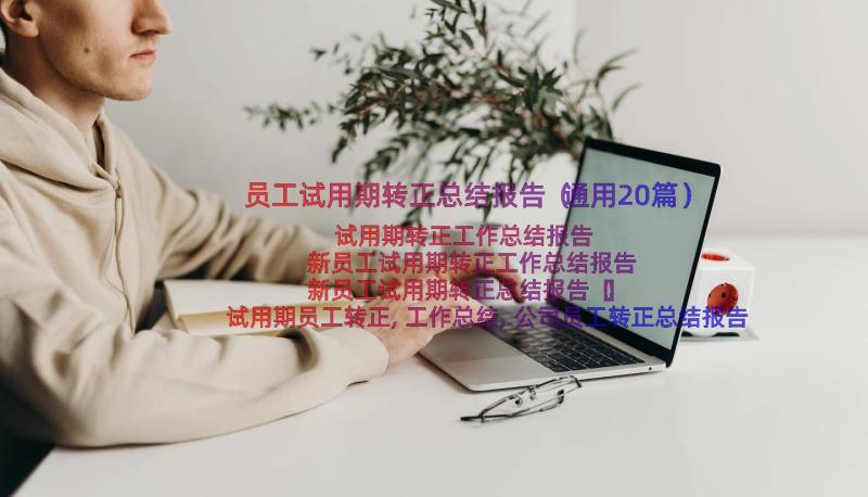 员工试用期转正总结报告（通用20篇）