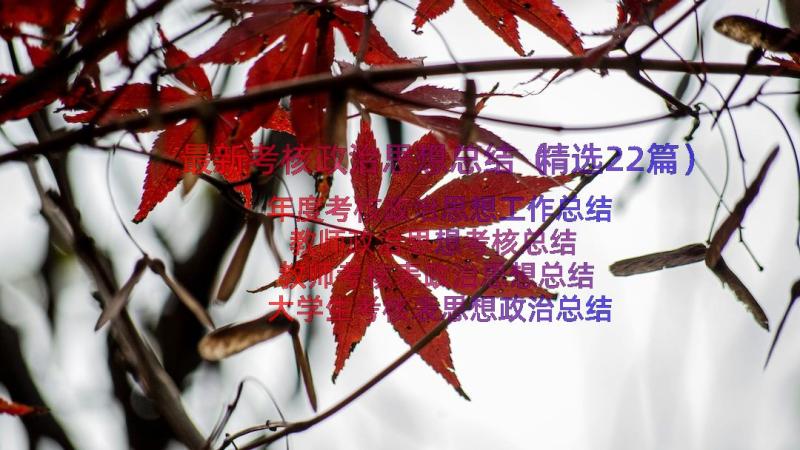 最新考核政治思想总结（精选22篇）