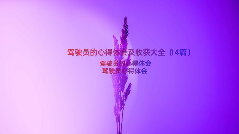 驾驶员的心得体会及收获大全（14篇）