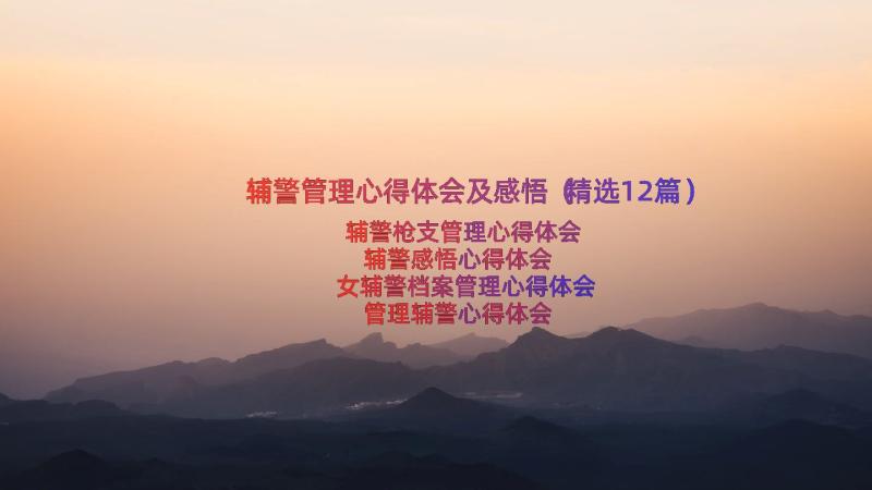 辅警管理心得体会及感悟（精选12篇）