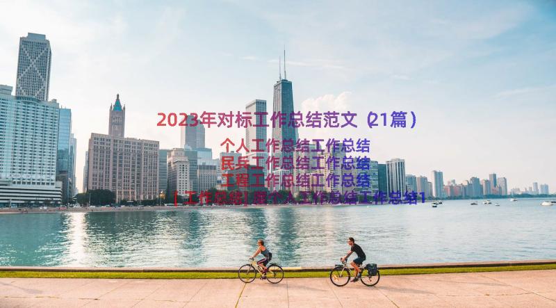 2023年对标工作总结范文（21篇）