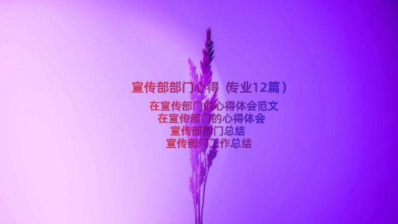 宣传部部门心得（专业12篇）