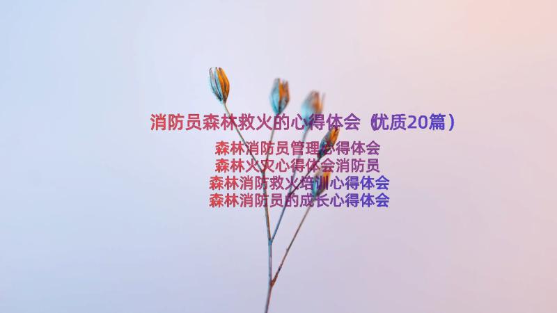 消防员森林救火的心得体会（优质20篇）