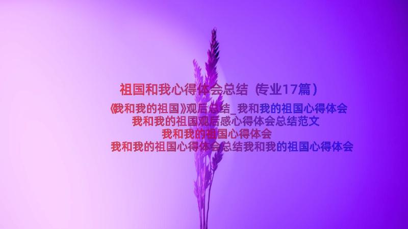 祖国和我心得体会总结（专业17篇）