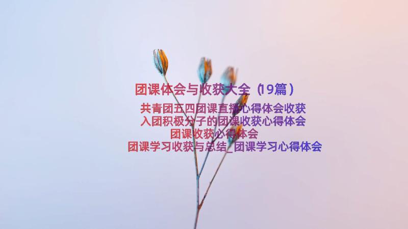 团课体会与收获大全（19篇）