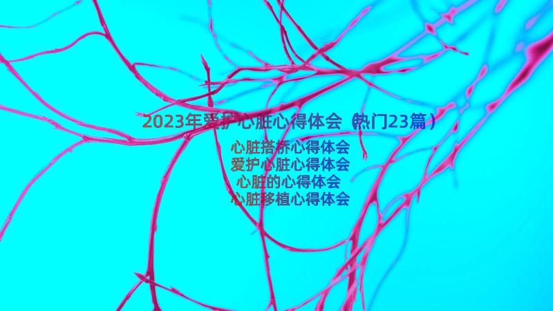 2023年爱护心脏心得体会（热门23篇）