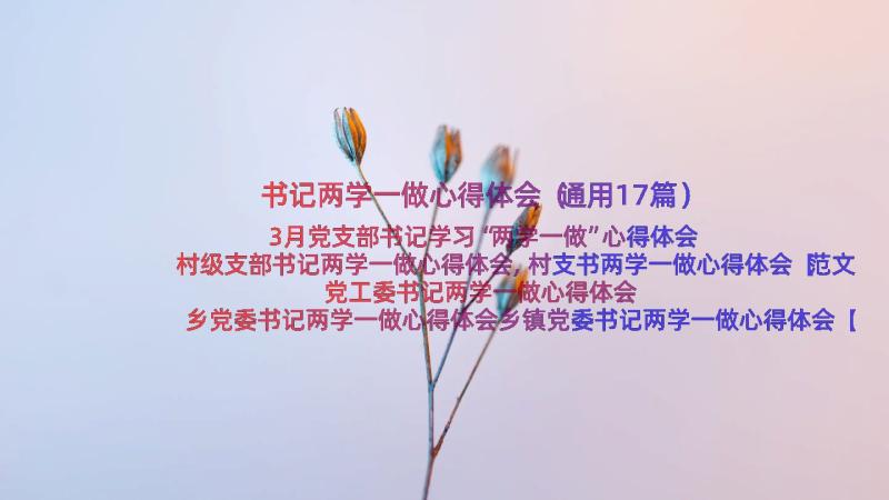 书记两学一做心得体会（通用17篇）