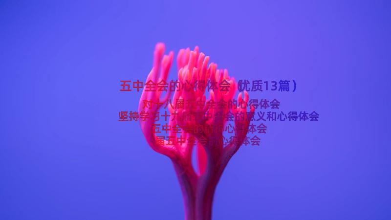 五中全会的心得体会（优质13篇）