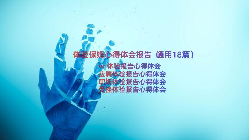 体验保姆心得体会报告（通用18篇）