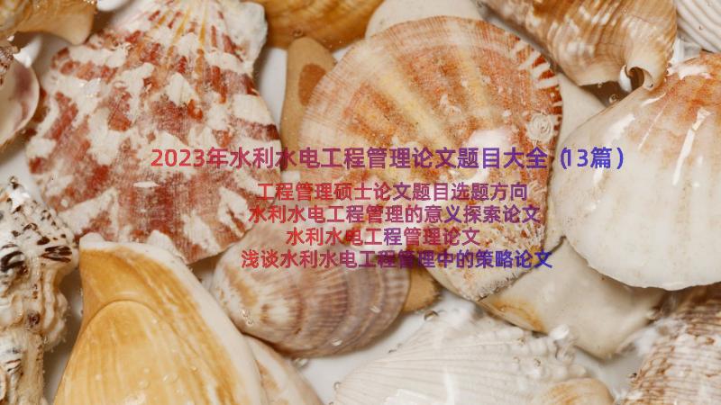 2023年水利水电工程管理论文题目大全（13篇）