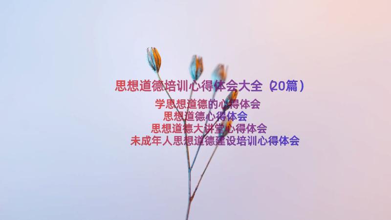 思想道德培训心得体会大全（20篇）