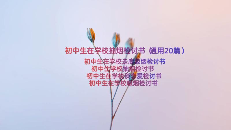 初中生在学校抽烟检讨书（通用20篇）